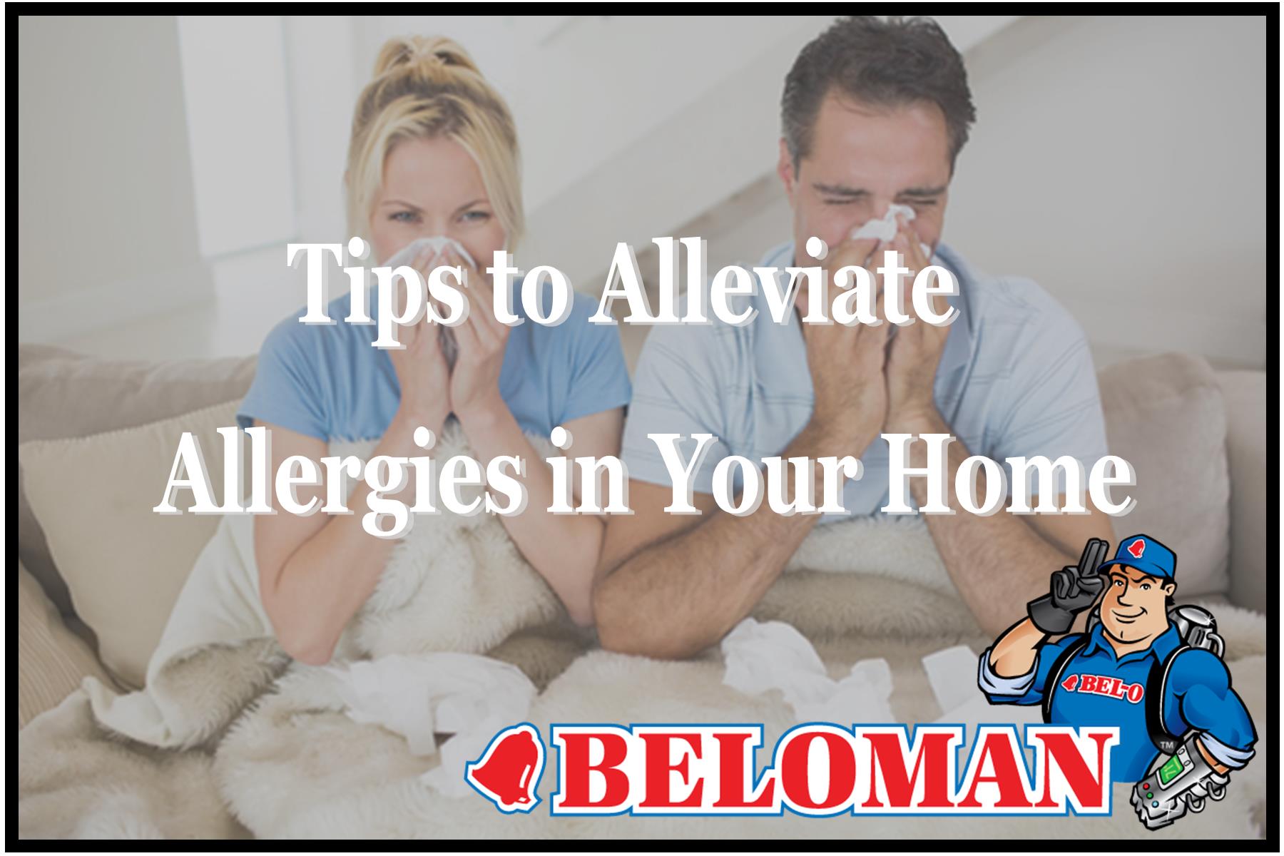 B.95 Allergies in your home