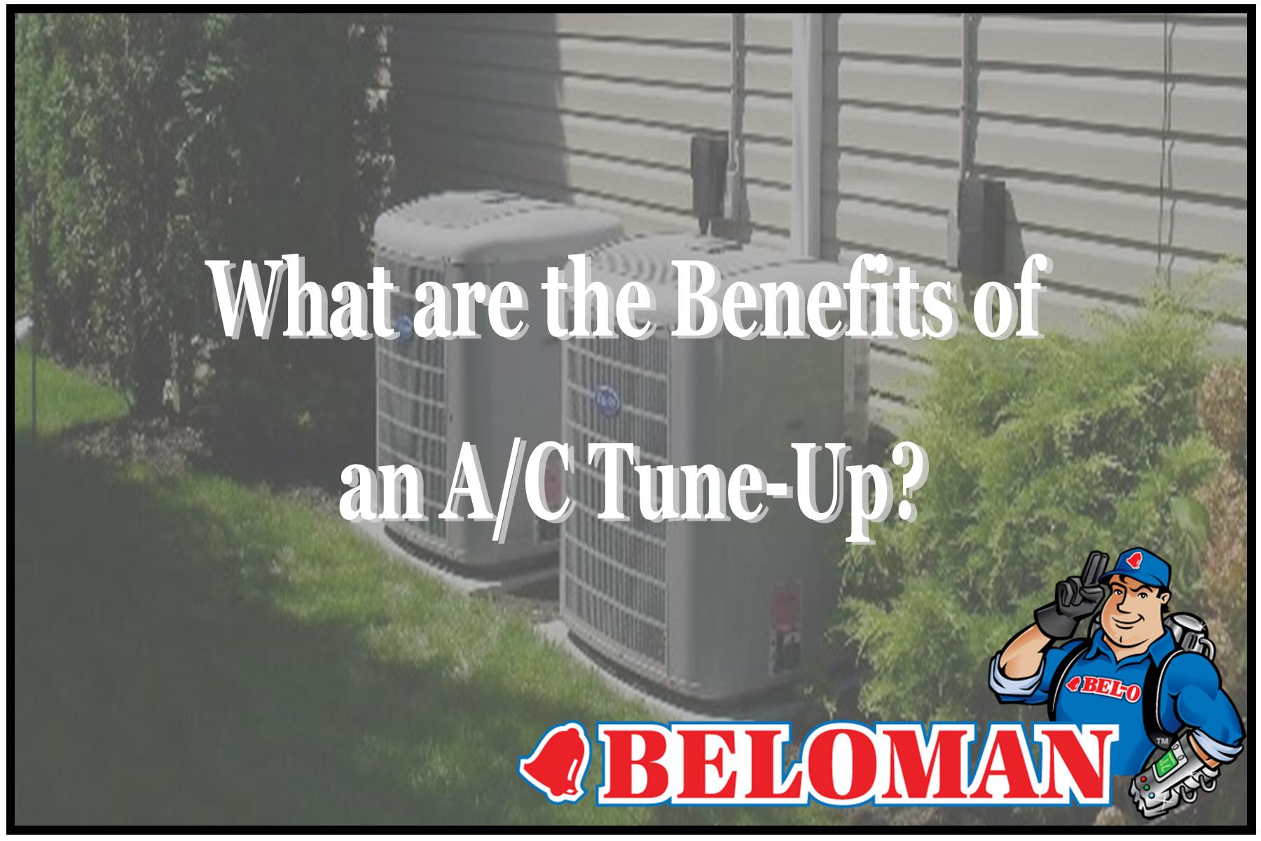 Carrier AC Unit Tune Up