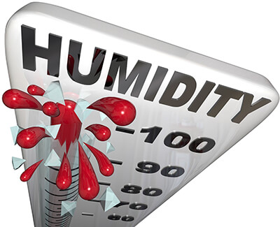 Scorching Temperatures with Humidity