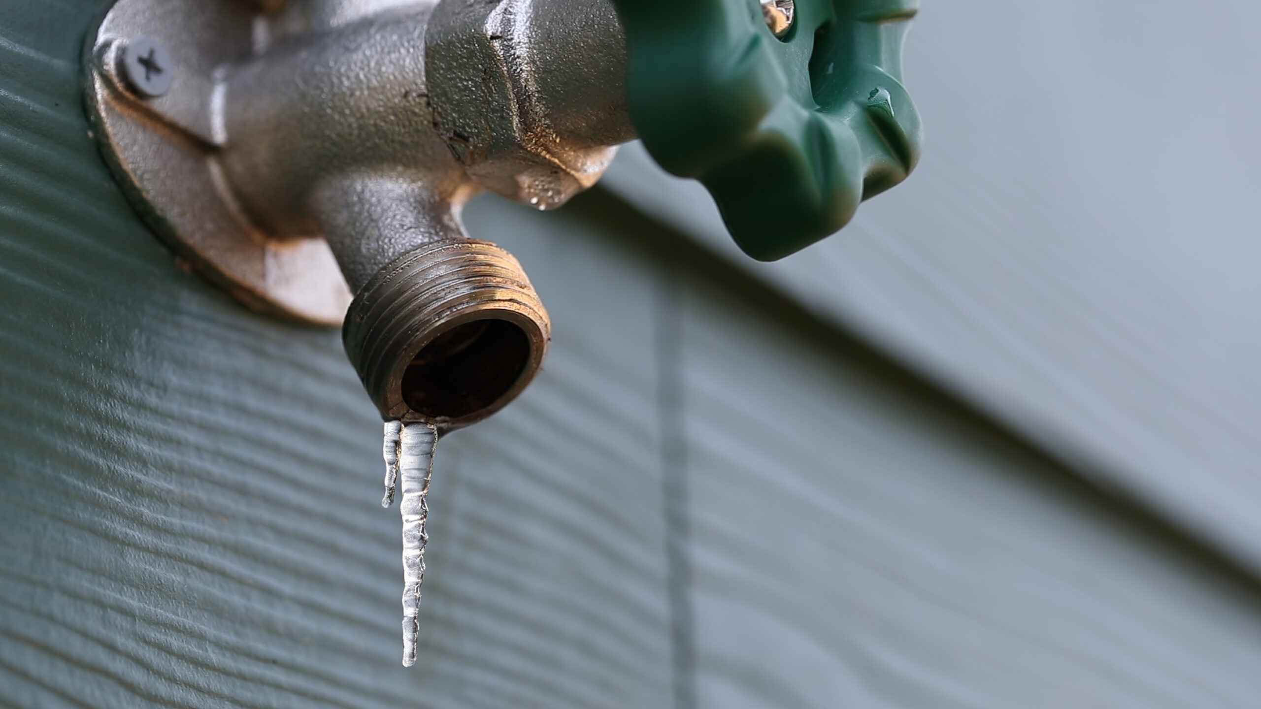 Frozen hose bibb